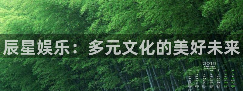 意昂2登录：辰星娱乐：多元文化的美好未来