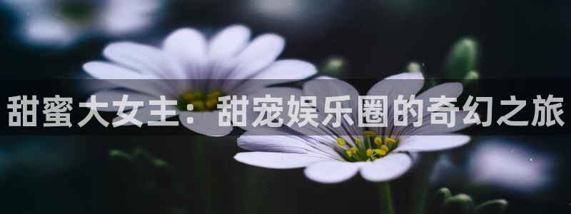 意昂2登录入口