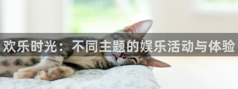 意昂2登录入口：欢乐时光：不同主题的娱乐活动与体验