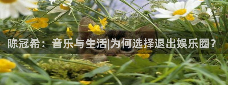 意昂2平台主管：陈冠希：音乐与生活|为何选择退出娱乐圈？