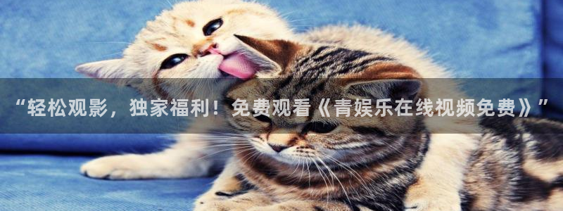 意昂4官网：“轻松观影，独家福利！免费观看《青娱乐在线视频免费》”