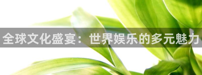 意昂2登录：全球文化盛宴：世界娱乐的多元魅力
